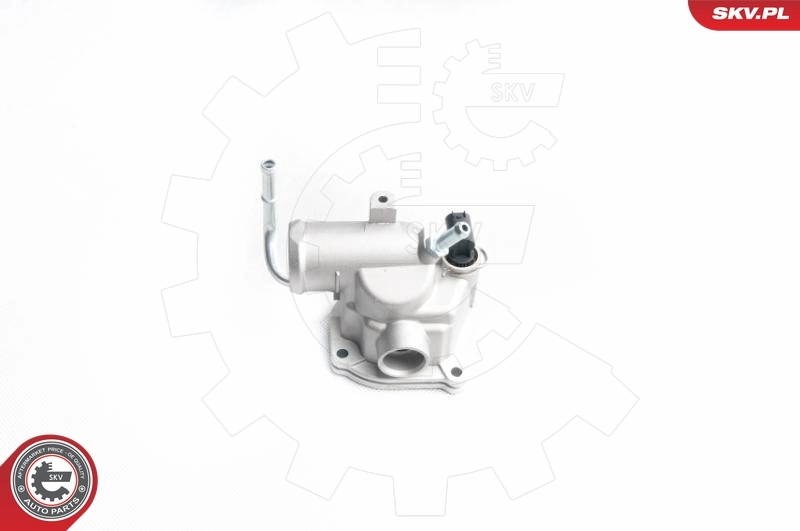 Thermostat, coolant